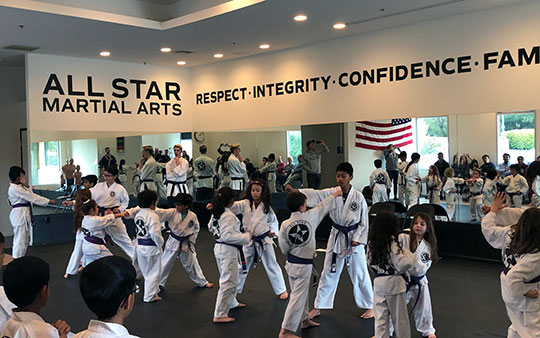 General classes in martial arts to go from white belt to black belt for kids ages 5 to 12 years old and is called our journey program.
